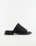 Lily Negro